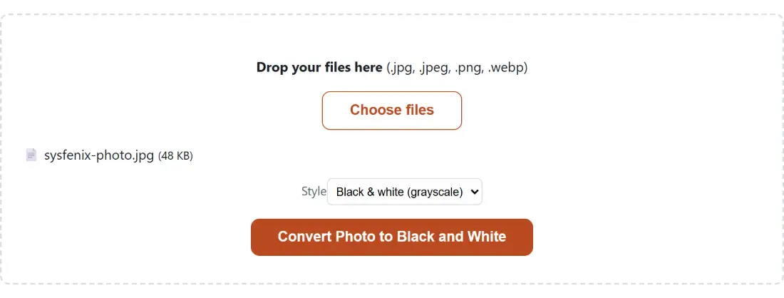 Screenshot of the Convert Photo to Black and White tool with sysfenix-photo.jpg (48 KB) loaded, Style set to Black & white (grayscale)